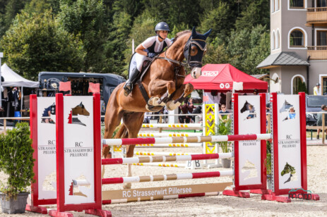 Baloutelli vom Voglgut v. Brantzau x Cor d'Alme Z x Carthago Foto ©mcm photos